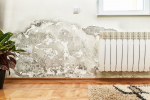 umidità-in-casa-muffa-sui-muri-muffa-in-casa-zoccolatura-cappotto